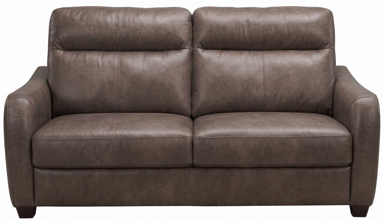 Ansley Leather Queen Sleeper Sofa 