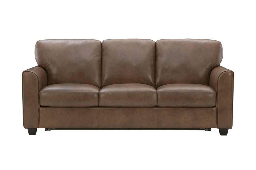 Auburn Leather Queen Sleeper Sofa