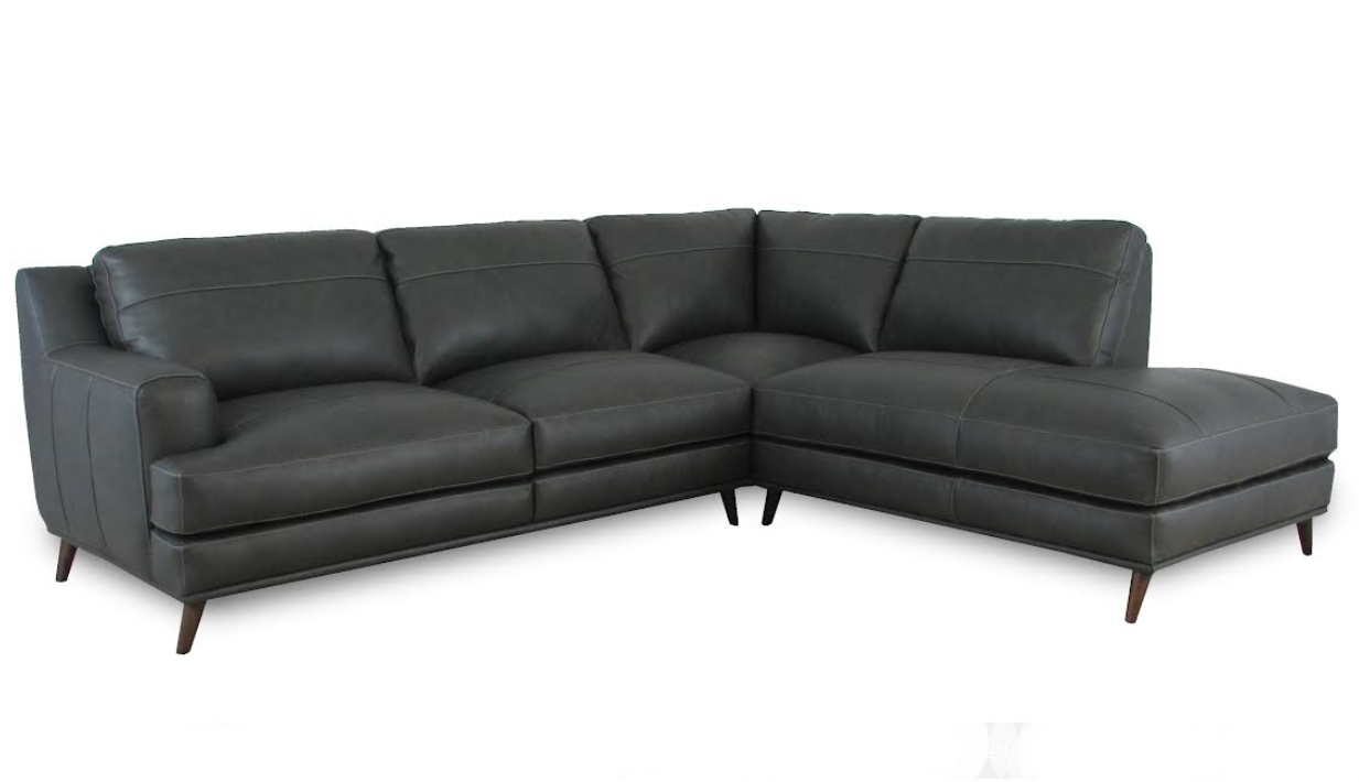 Diggio Leather Sectional