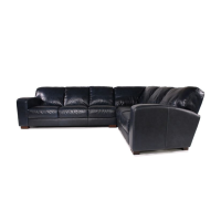 Mirona Leather Sectional