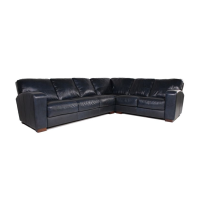 Mirona Leather Sectional