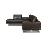 Ravina Leather Sectional Get FREE Leather Samples