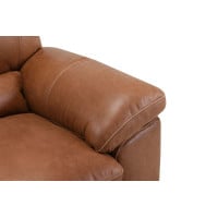 Revia Leather Sofa or Set Get FREE Leather Samples