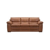 Revia Leather Sofa or Set Get FREE Leather Samples