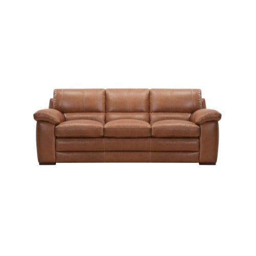 Revia Leather Sofa or Set Get FREE Leather Samples