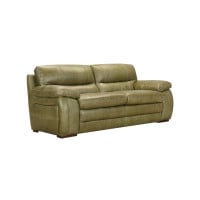 Ranch Sage Leather Color