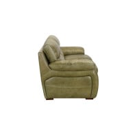 Ranch Sage Leather Color