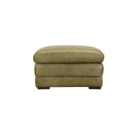 Ranch Sage Leather Color