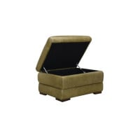 Ranch Sage Leather Color