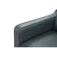 West Winter Lake Leather Color