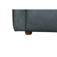 West Winter Lake Leather Color