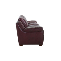 Taryn Leather Sofa or Set Get FREE Leather Samples