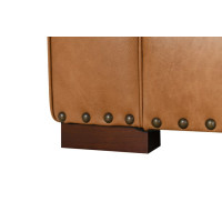 Dallas Toffee Leather Color