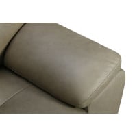 Texas Mushroom Leather