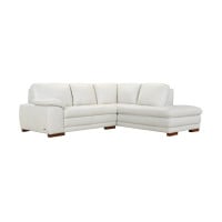 Giada Leather Sectional Get FREE Leather Samples