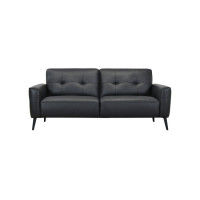 Focus Black Leather Color