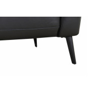 Focus Black Leather Color