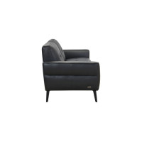 Focus Black Leather Color