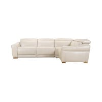 Napa Power Reclining Leather Sectional with Power Headrest Get FREE Leather Samples