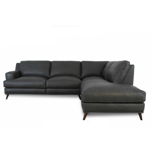 Diggio Leather Sectional