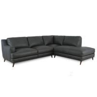 Diggio Leather Sectional