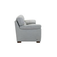 Galen Leather Sofa or Set Get FREE Leather Samples