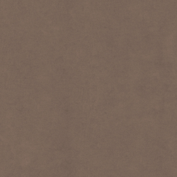 (F) 174-01 Driftwood (Grade 1)