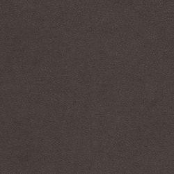 (F) 174-02 Shadow Black (Grade 1)