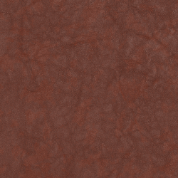 (F) 577-72 Pecan Brown (Grade 1 Leather Match) x