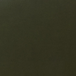 (F) 654-20 Greenbacks (Grade 1)