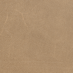 (F) 659-80 Tortilla (Grade 1)