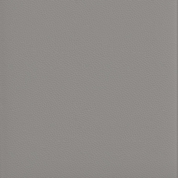 (F) 749-01 Ash (x)