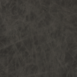 (F) 815-02 Grey (Grade 1) x