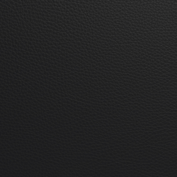 (F) 824-00 Black (Grade 0 Leather Match)