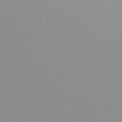 (F) 824-01 Light Grey (Grade 0 Leather Match) x