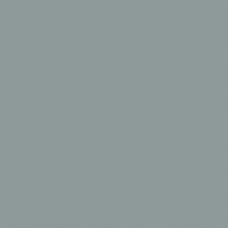 (F) 824-42 Mist (Grade 0 Leather Match) x