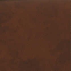 (F) 907-72 Pecan (x)