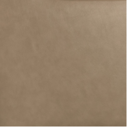 (F) 946-78 Sandstone (x)