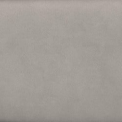886-01 Dove