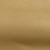 (M) Genoa Palomino (Grade 2)