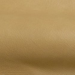 (M) Genoa Palomino (Grade 2)
