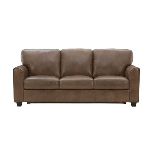 Auburn Leather Queen Sleeper Sofa