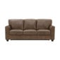 Auburn Leather Queen Sleeper Sofa