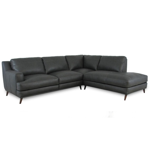 Diggio Leather Sectional