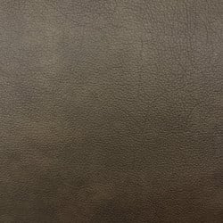 Aline Chocolate - Grade 1