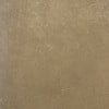 Cordoba Camel- Grade 3