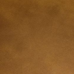 Lucca Tan - Grade 3