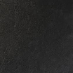 Revelation Midnight - Grade 2