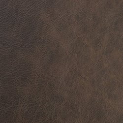 Saloon Texas - Grade 2