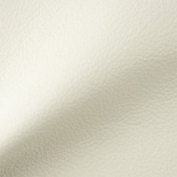 (TN) Royal Frost (RY-521E) Leather / Leather-Match